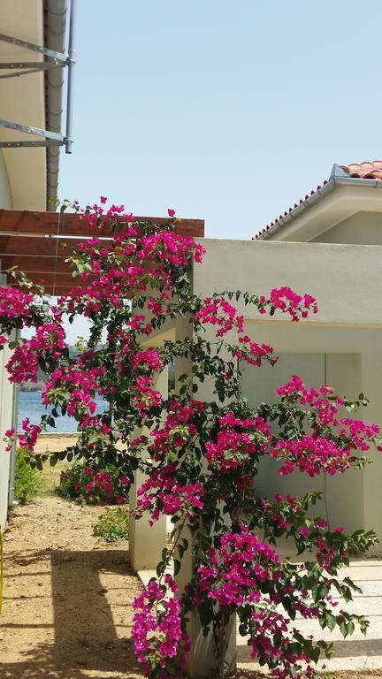 Thea Houses Milína Exterior foto